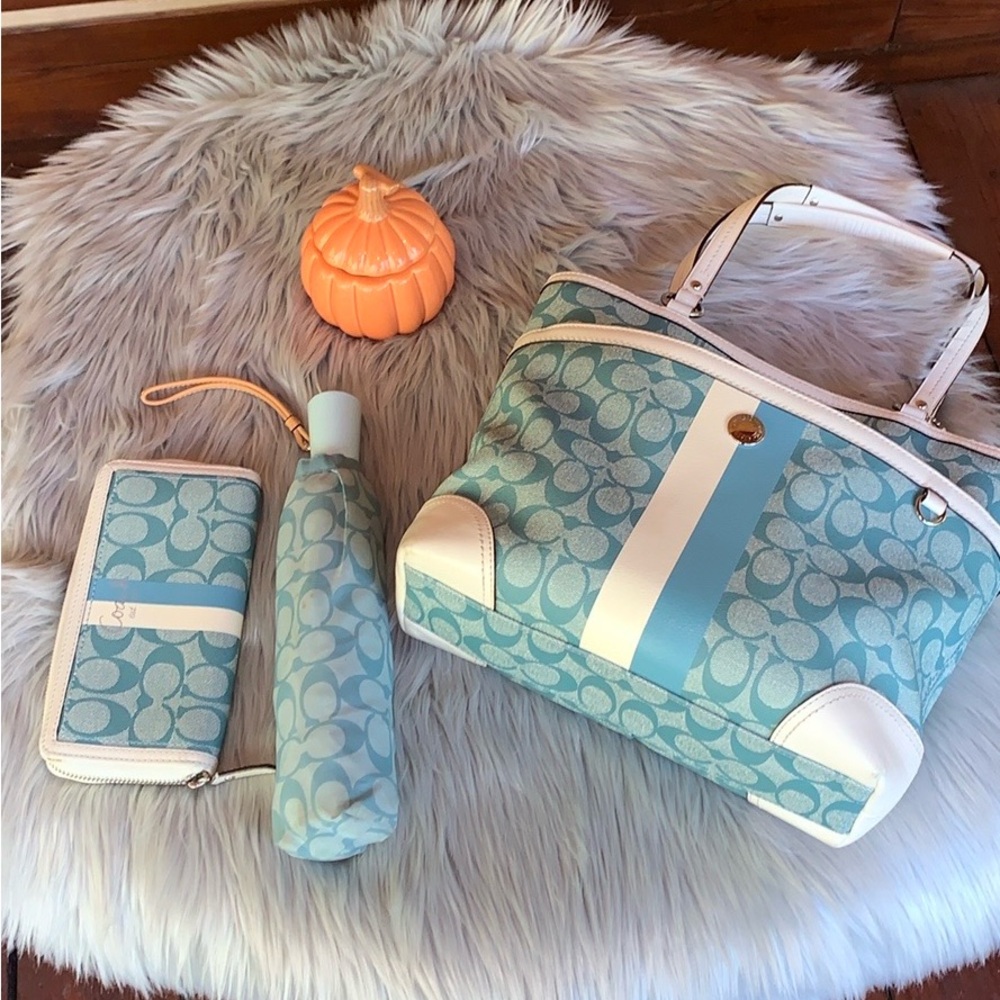 Bundle of 3 coach handbag, umbrella,  and matching wallet .